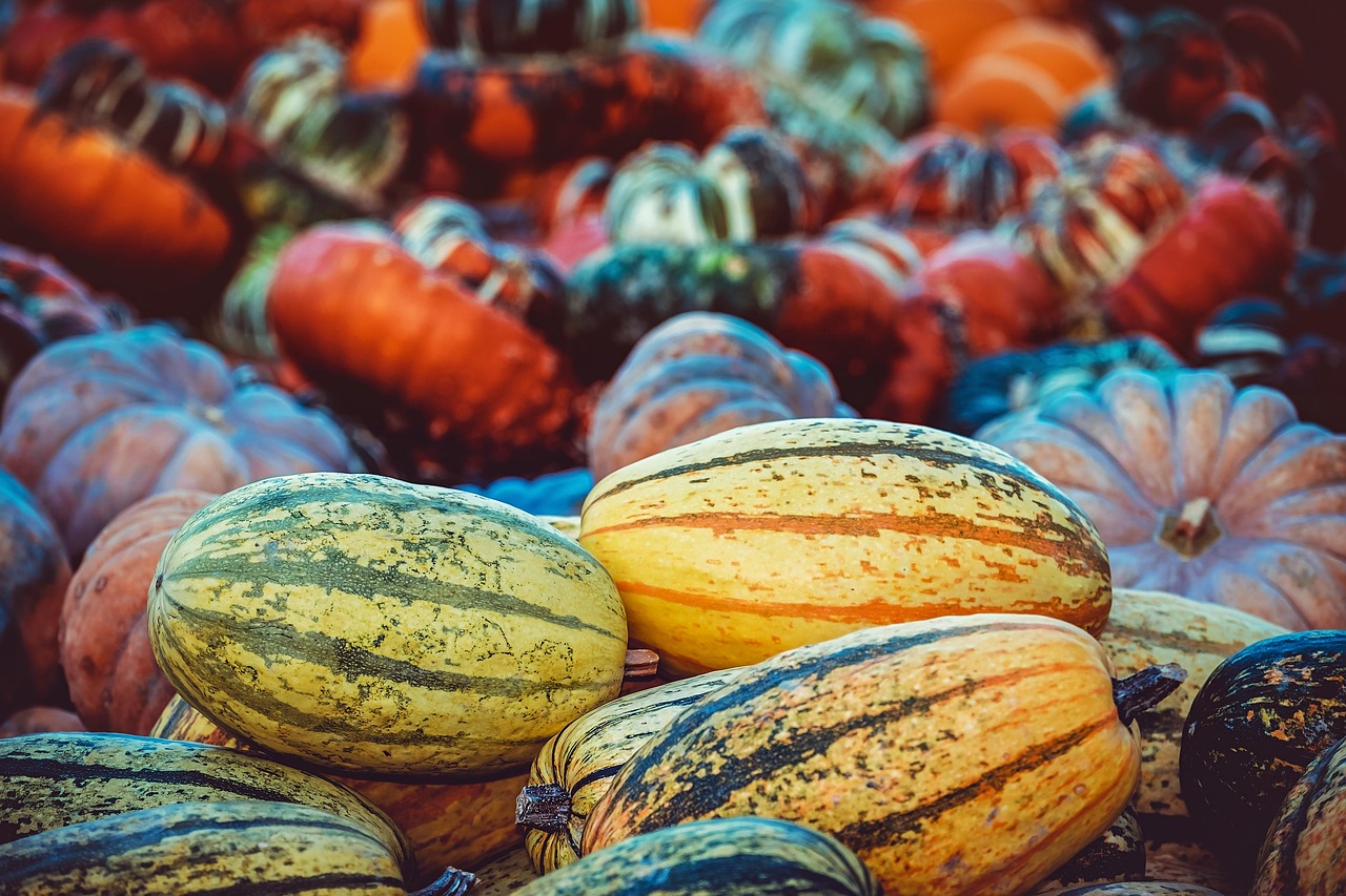 10 000 Kostnadsfria Bilder Med Pumpor Och Halloween Pixabay