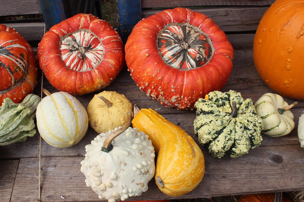 Pumpkins Halloween Fall - Free photo on Pixabay - Pixabay