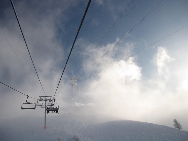 Free Ski Cables photo and picture