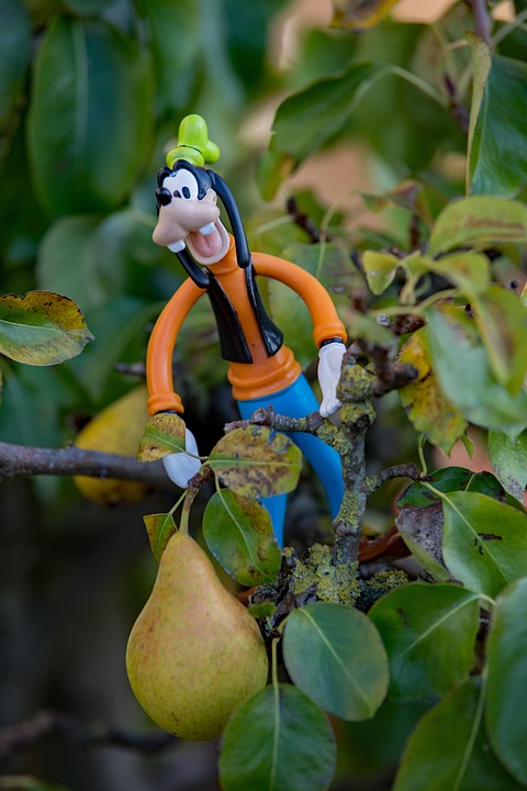 Disney Autumn Goofy Still - Free photo on Pixabay