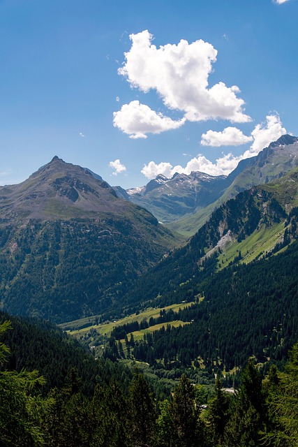 Free Alps Austria photo and picture
