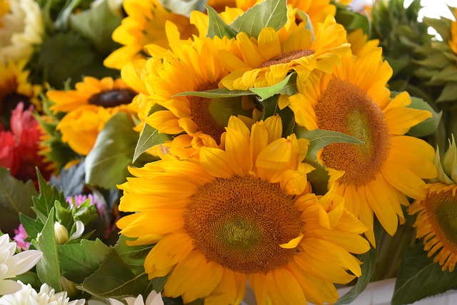 Free Sunflowers Farmer'S Market photo and picture