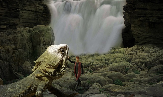 Free fantasy lizard man illustration