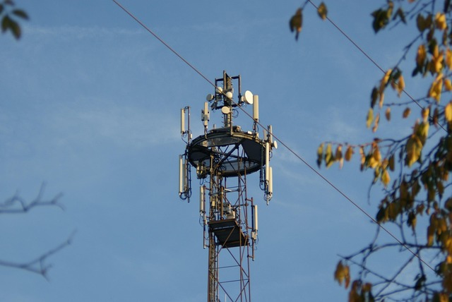 Free Cellular Radio Mast photo and picture