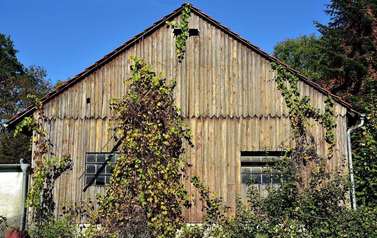 House - free online jigsaw puzzle photo