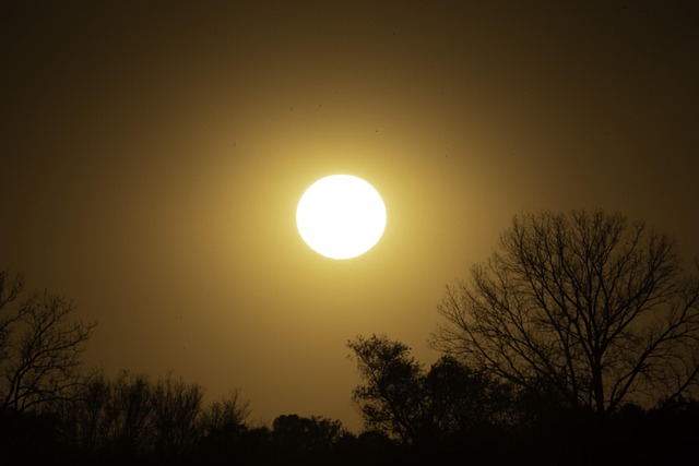 Free Sun Sky photo and picture