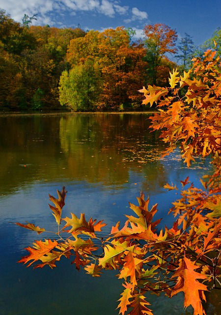 Free Nature Autumn photo and picture