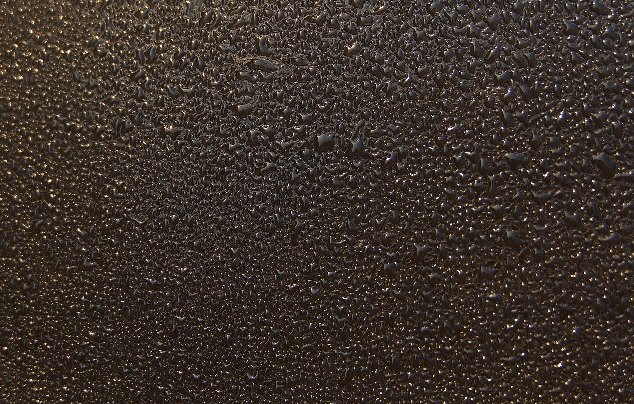 200+ Free Condensation & Nature Images - Pixabay