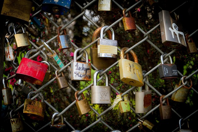 Free Love Padlock photo and picture