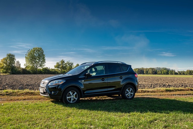 Free Offroad Kuga photo and picture