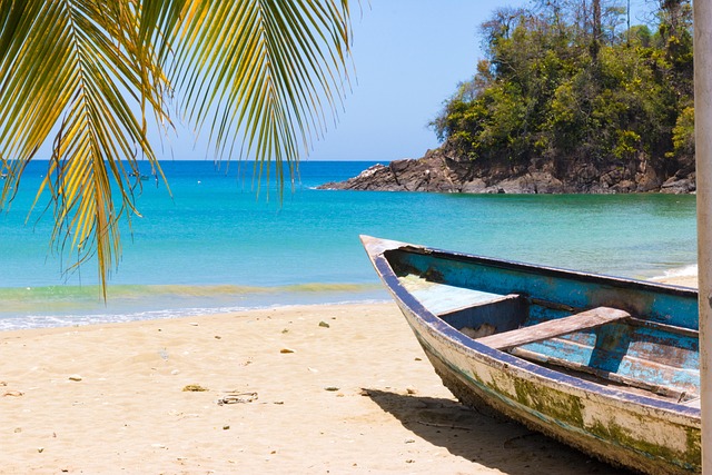 Free Beach Boat photo and picture