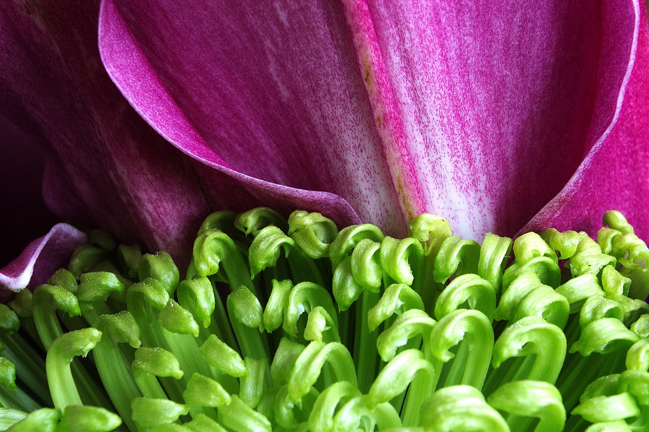 Abstract - free online jigsaw puzzle photo