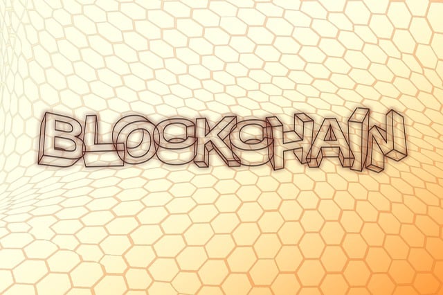 Blockchain, Date, Record, Mana, Blocuri