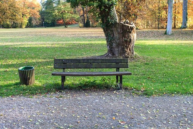 Free Park Bench Bank photo and picture