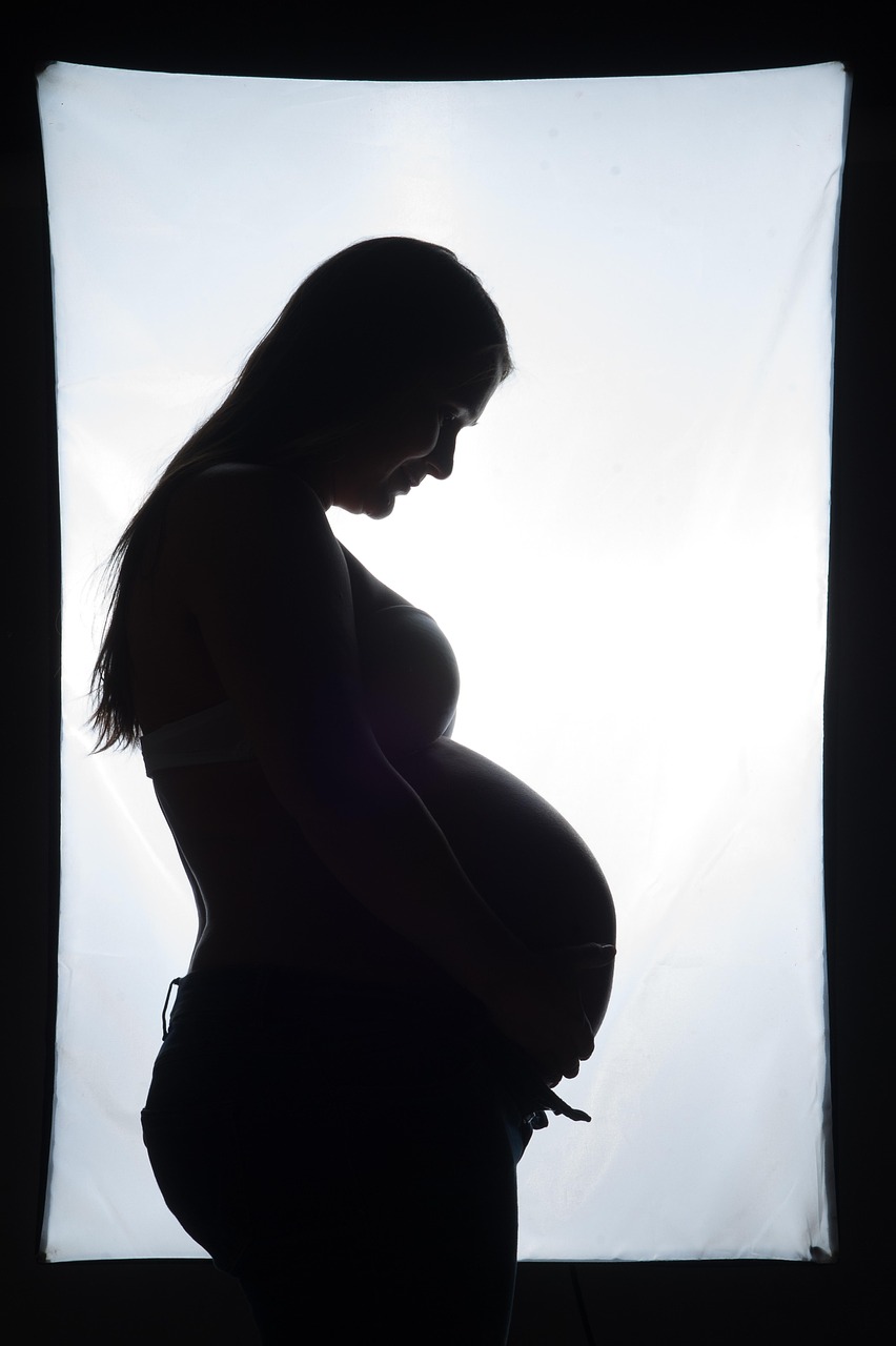 Silhouette Pregnancy Maternity - Free photo on Pixabay - Pixabay