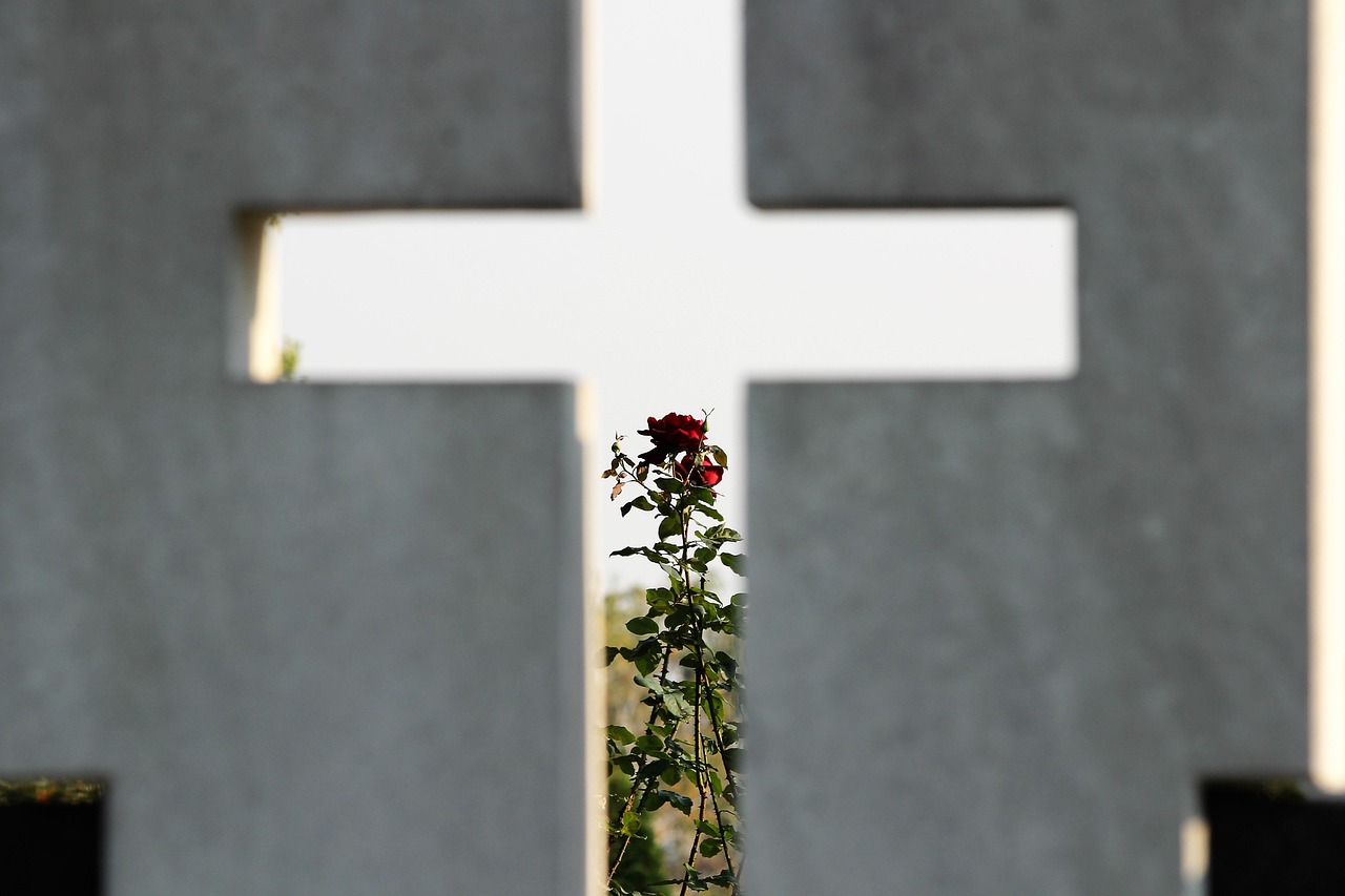 Cross - free online jigsaw puzzle photo