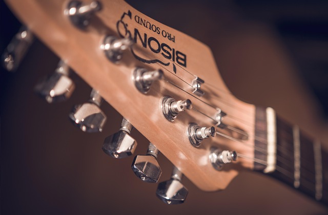 Gitaar, Gitaar Monteur, Gitaar Hals