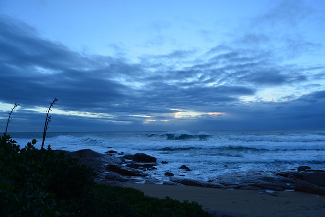 Free Beach Morning photo and picture