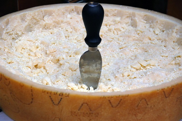 Free Grain Cheese photo and picture