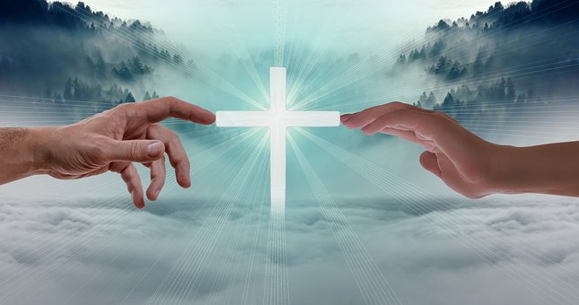 Nghĩ, Hy Vọng Tình Yêu, Sương Mù, Rừng