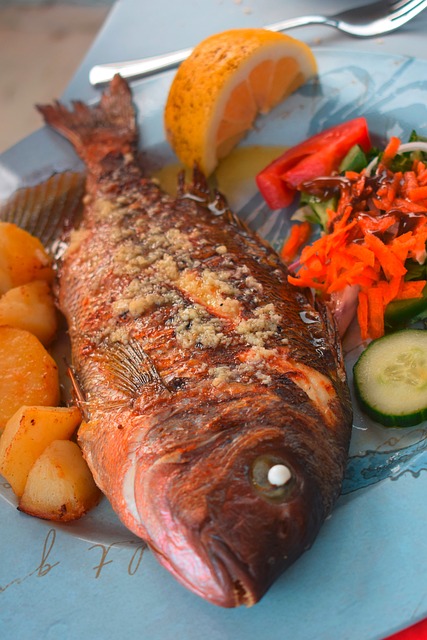 Free Fish Sea Bream photo and picture
