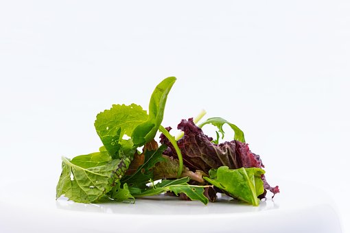 Free Salad Green photo and picture