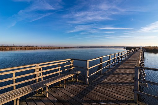 Federsee, Landschaft, Steg, Natur