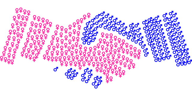 Free agreement peace gender vector