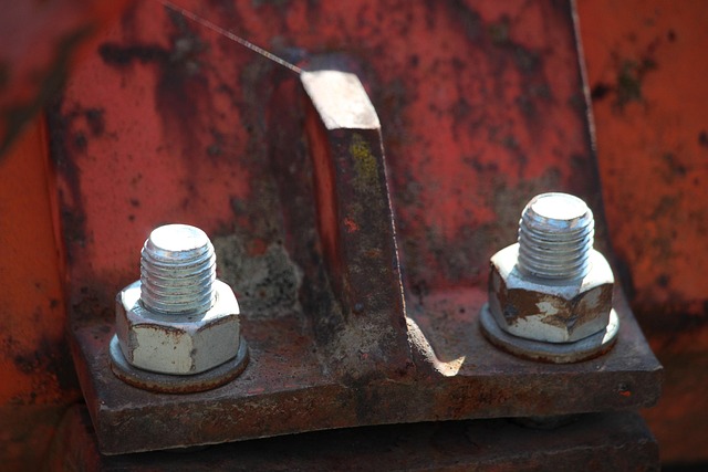 Free Screws Metal photo and picture