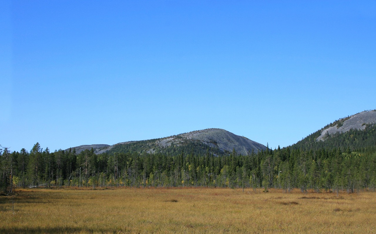 Nature - free online jigsaw puzzle photo