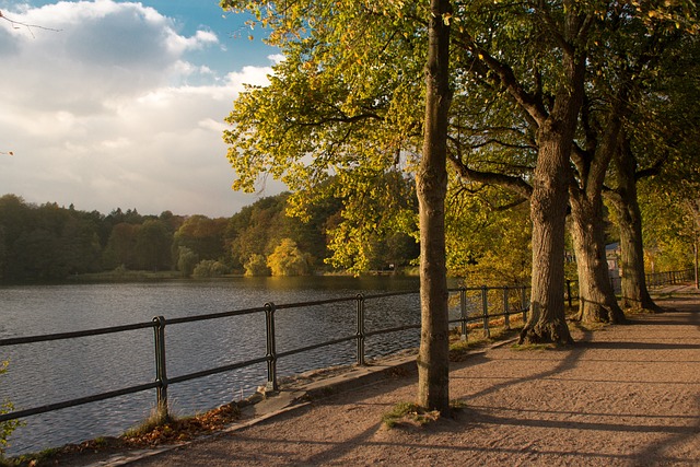 Free Lake Harburg photo and picture