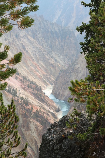 Canyon, Natur, Schlucht, Yellowstone