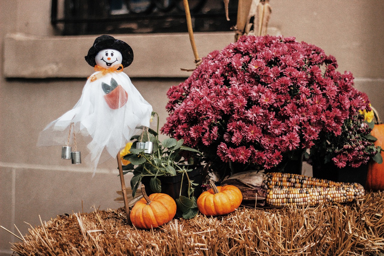 Halloween - free online jigsaw puzzle photo