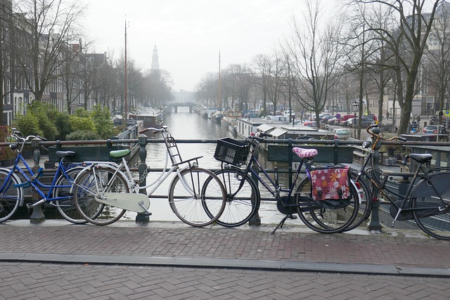 Free Amsterdam Cycling photo and picture