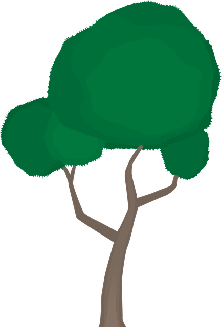Baum, Stamm, Natur, Wald, Draussen