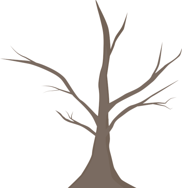Zweig, Baum, Natur, Landschaft, Geäst