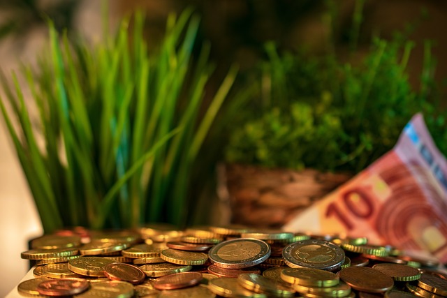 Free Money Euro photo and picture