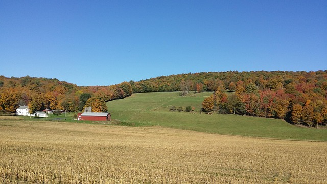 Free Fall Autumn photo and picture