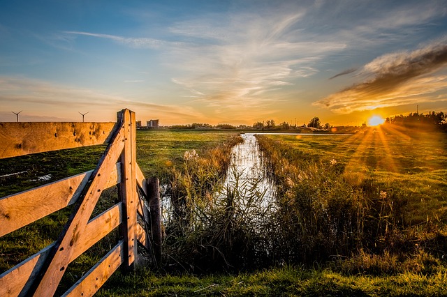 Free Meadow The Netherlands photo and picture
