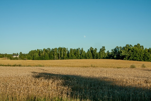 Free Landscape Crops photo and picture