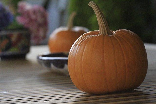 Free Pumpkin Calabasa photo and picture