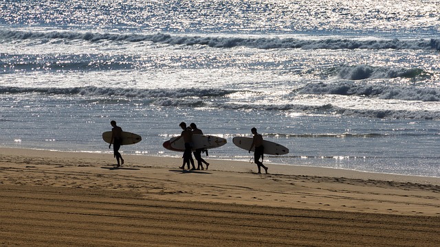 Free Beach Sea photo and picture