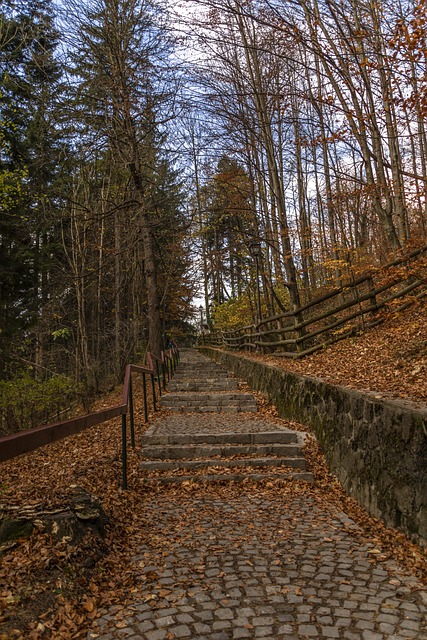 Toamna, Frunze, Natura, Octombrie, Arţar
