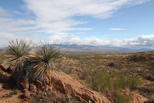 Free Landscape Arizona photo and picture