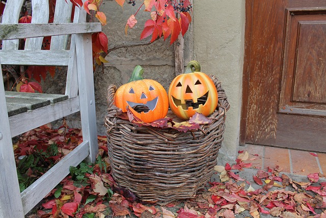 Free Halloween Pumpkin photo and picture