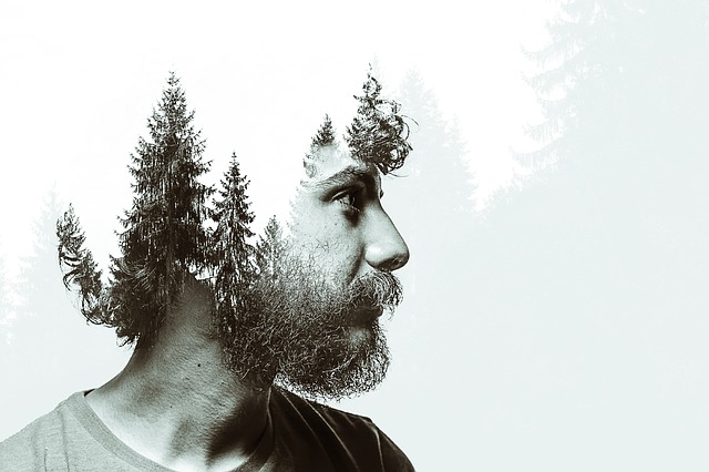 Free manipulation nature double exposure illustration