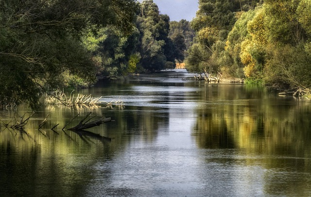 Río, Paisaje, Hermoso Fondo De Pantalla