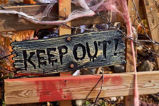 Free Halloween Decoration photo and picture