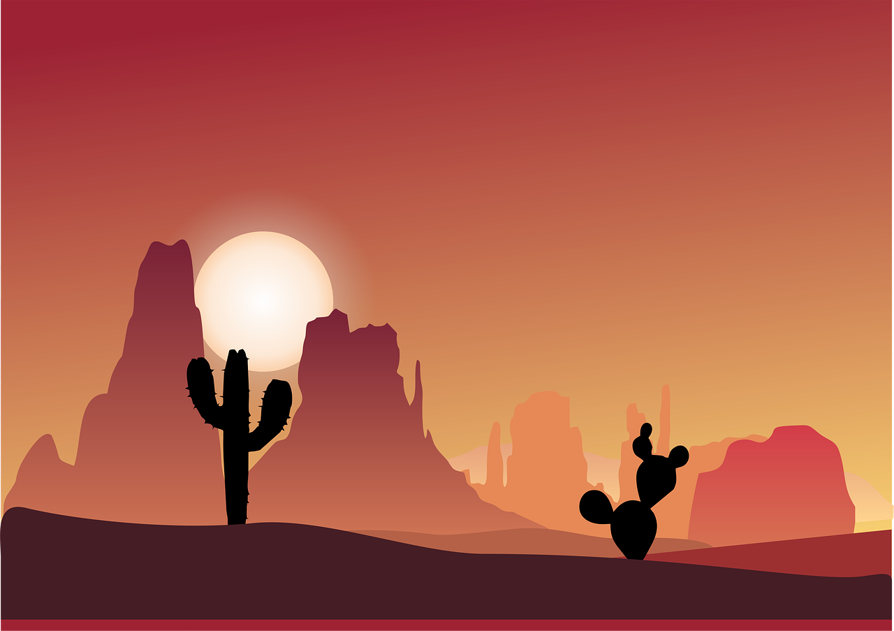 Free cactus desert simple illustration