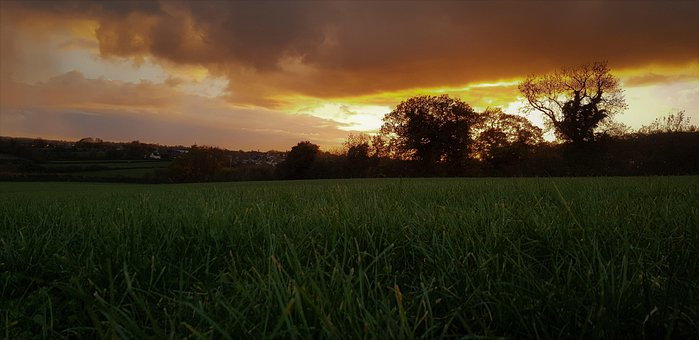 Free Our Dream Location Sunset photo and picture